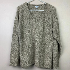 J. Jill Knit Sweater Ribbed Pull Over V Neck Marled Tan Cozy Oversized Fall